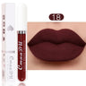 Lipstick Waterproof Long lasting Make-up for women Cosmetics Korean makeup Matte lipstick