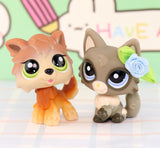 Mini 2pcs Lot Pet Shop Dogs and Cats Collectable With Accessories Best Gift For Kids Toy - Lootquake