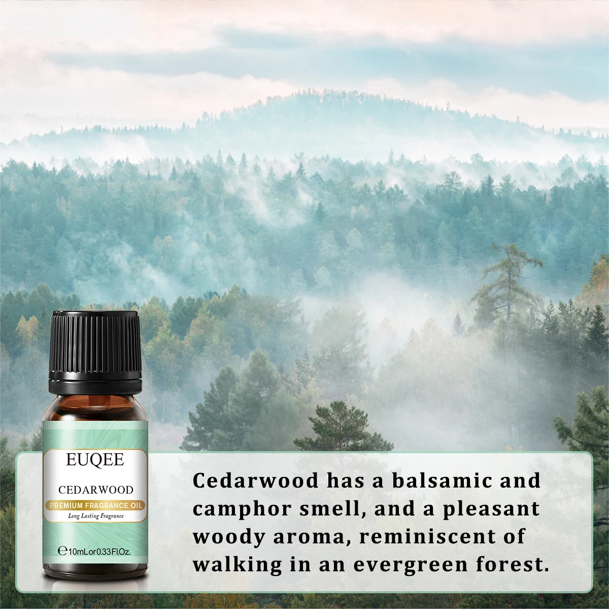 Huile parfumée EUQEE 10 ml, noix de coco, vanille, chewing-gum, pour la fabrication de bougies, de savons, de gâteaux au café et de bois de cèdre. Huiles aromatiques de qualité supérieure.