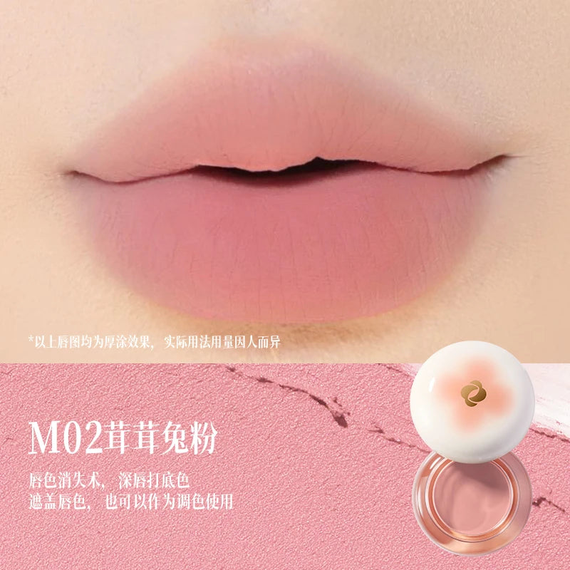 Lasting Finish Lipstick Lip Mud Silky Matte Colour Matte Velvet Makeup Lip Tint Highly Pigmented Color Nude Lipgloss