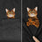 CLOOCL Animal T-Shirt Fashion Brand Summer Pocket Cat Stickers Printed T-shirt Men's Women Shirts Hip Hop Tops Funny Cotton Tees - Lootquake