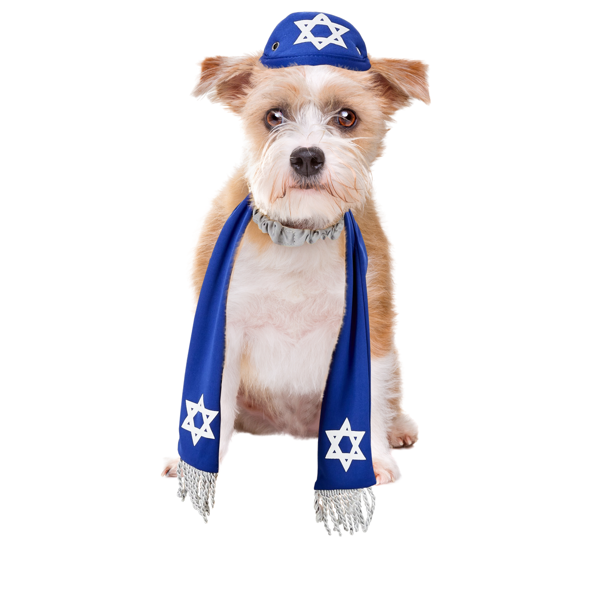 Pets Yarmulke and Tallis Hanukkah Set with Star of David