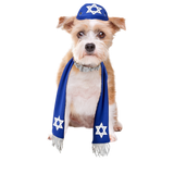 Pets Yarmulke and Tallis Hanukkah Set with Star of David