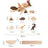 Children's Early Education Cognitive Toys - Lootquake