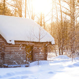 Winter Woods Fragrance Oil