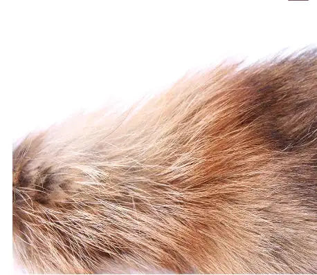 Fox Tail Anal Plug - Metal Pleasure Toy - Lootquake