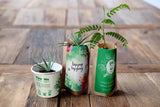 You Plant We Plant Pack of 3 Tree Kits, We Plant 30 More Trees