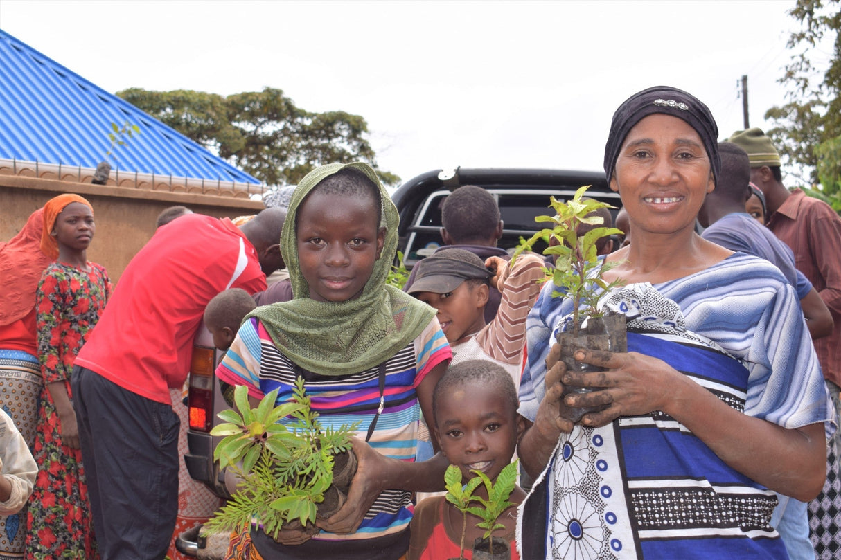 You Plant We Plant Pack of 3 Tree Kits, We Plant 30 More Trees