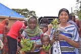 You Plant We Plant Pack of 3 Tree Kits, We Plant 30 More Trees