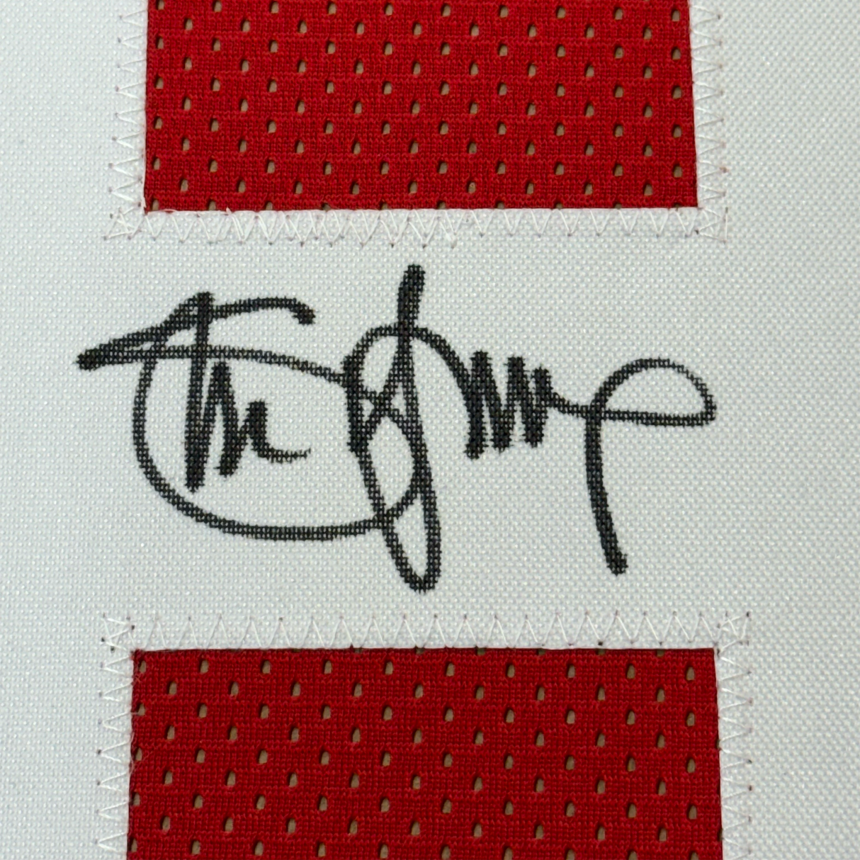 Framed Autographed/Signed Steve Young 35x39 San Francisco Red Football Jersey JSA COA