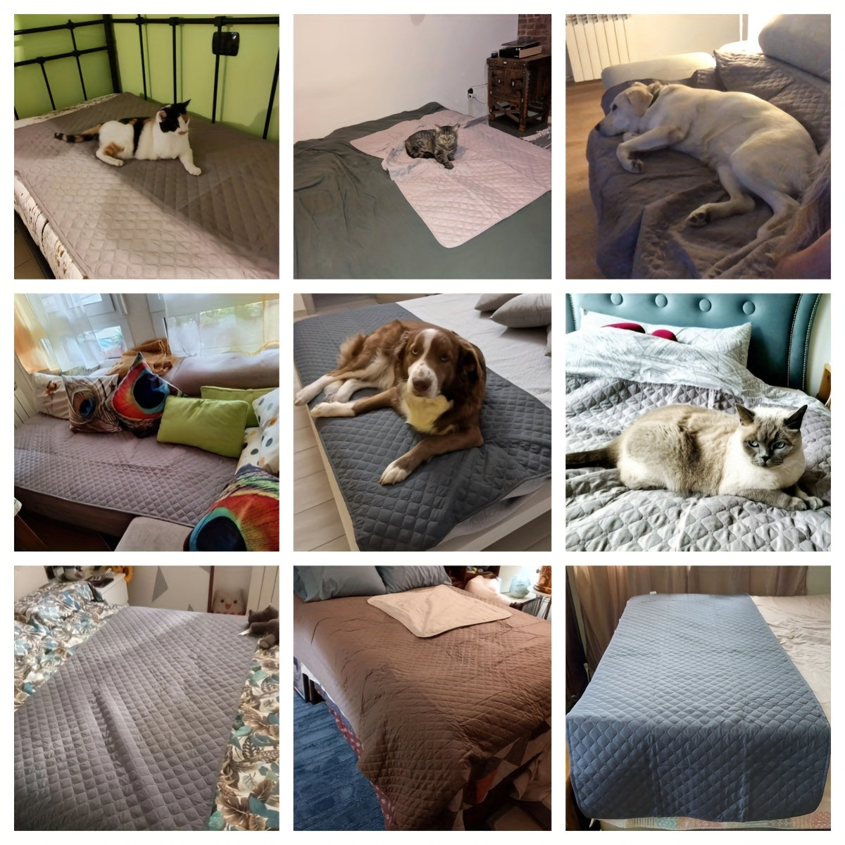Waterproof & Non-Slip Dog Mattress Cover for Beds, Sofas, Cars | Super Soft Pet Blanket with Incontinence Protection | Machine Washable Furniture Protector Pad, Puppy Bedspread, Durable Dog Carpet