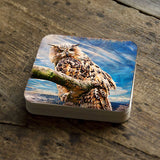 Owl Wooden Cork Coasters Gift Set of 4 by Nature Wonders - Nature Wildlife Decor  - 95371C-S4