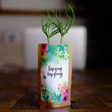 Keep Going, Keep Growing - Tree Kit - We Plant 20 Trees