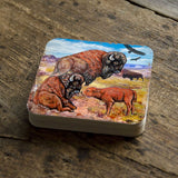Buffalos Wooden Cork Coasters Gift Set of 4 by Nature Wonders - Nature Wildlife Decor  - 95217C-S4
