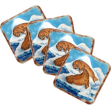 Juego de 4 posavasos de corcho de madera con diseño de leones marinos de Nature Wonders - Decoración de vida silvestre costera - 95377C-S4