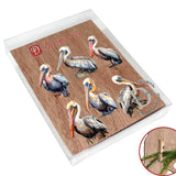 Pelicans Decorative Wooden Clip-on Ornaments of 6 by G. Debrekht - Christmas Decor - 8090014C-S6