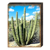 Kennerdell Cactus Art Wooden Wall Art by Nature Wonders - Nature Wildlife Decor  - 95277B