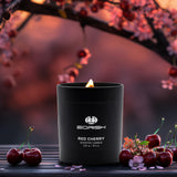 Luxury Candle Gift Set For Women, Strong Scented Candle Set, Black Candles Gifts, 3 Pack, 24oz, Burning 150 Hours