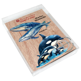Alaskan Whale and Orca Wooden Ornaments Set of 2 by G. Debrekht - Wildlife Holiday Decor - 8091323S5