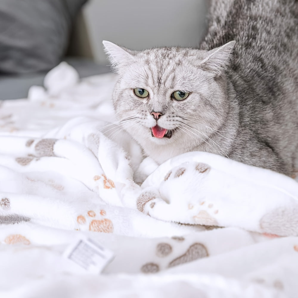Couverture douillette pour animaux de compagnie avec motif empreinte de patte - Tapis en polaire douce pour chien et chat, housse de coussin chaude pour le confort et les câlins du chiot
