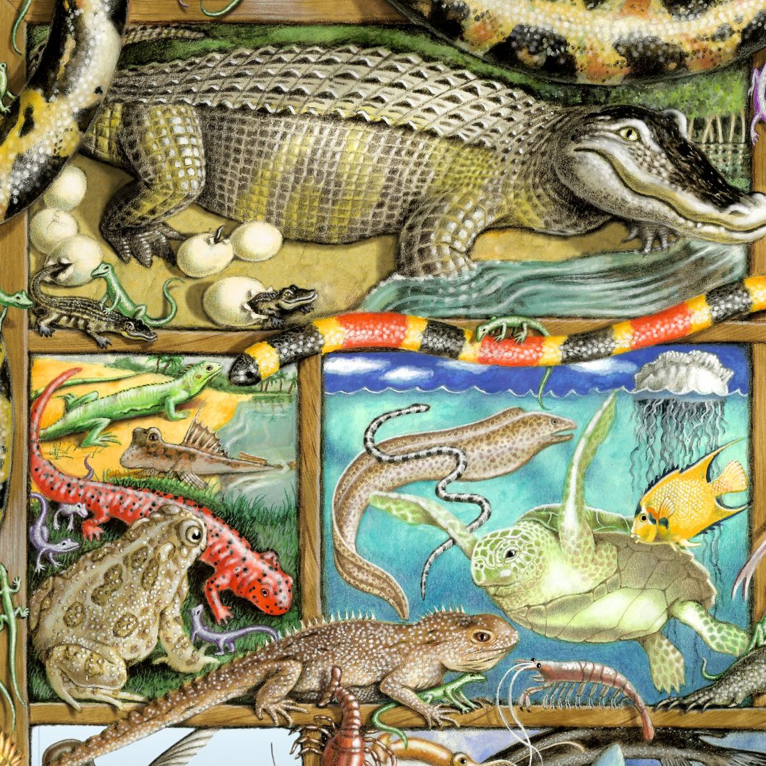 Arte mural caprichoso de reptiles, peces y anfibios de Laura Seeley - Decoración infantil Love Family - 8513011-LS