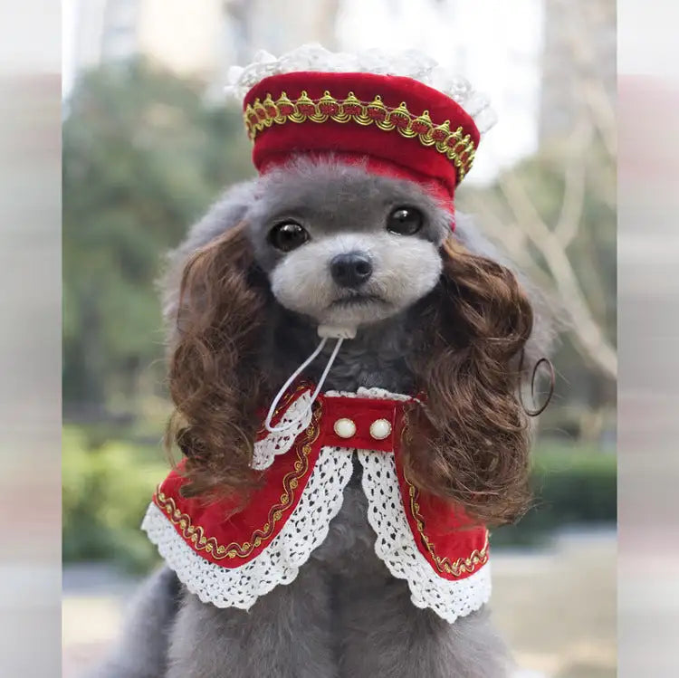 Christmas Pet Clothes Funny   Pet Clothing Apparel - Lootquake