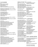 Tigerlily (CASSETTE) | Excellent (EX) Excellent (EX)
