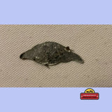 Rare Antique Harvey's Natleaf Tin Tobacco Tag from 1870s-1910s