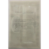 Rare Titanic International Mercantile Stock Certificate from 1910s - 1920s