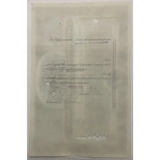 Rare Titanic Era International Mercantile Marine Stock Certificate