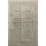 Rare Titanic International Mercantile Marine Stock Certificate