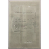 Rare Titanic International Mercantile Stock Certificate from 1910s