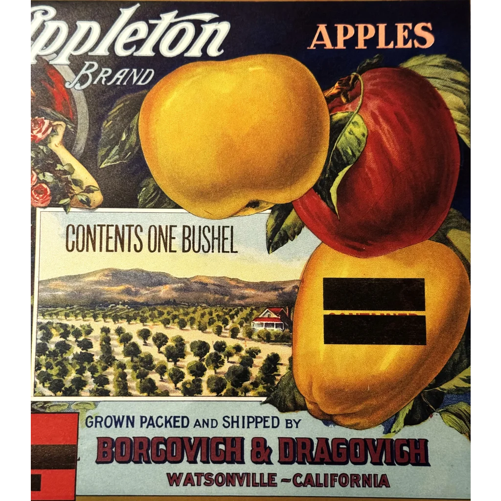 Rare 1920s Appleton Crate Label Brings Vintage Charm to Life