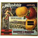 Rare 1920s Appleton Crate Label Brings Vintage Charm to Life
