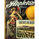 Rare 1920s Appleton Crate Label Brings Vintage Charm to Life