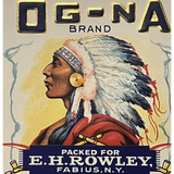 Rare 1920s Native American Antique Gold Label from Fabius NY