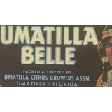 Rare 1930s Umatilla Crate Label Showcases Native American Beauty