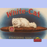 Rare Antique Vintage Embossed Cigar Label Featuring White Cat