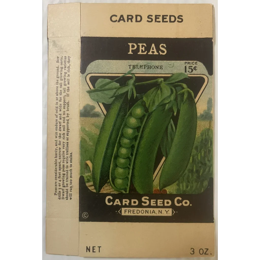 Rare Antique Vintage Pea Box from Card Seed Company Discovered