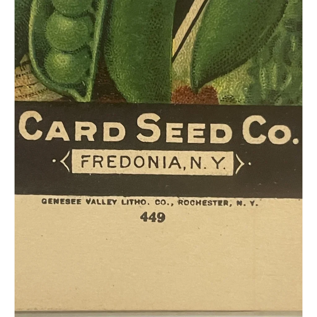 Rare Antique Vintage Pea Box from Card Seed Company Discovered