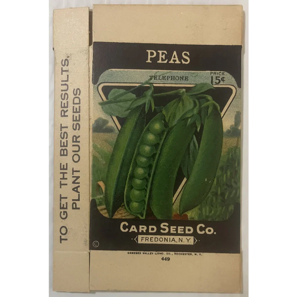 Rare Antique Vintage Pea Box from Card Seed Company Discovered