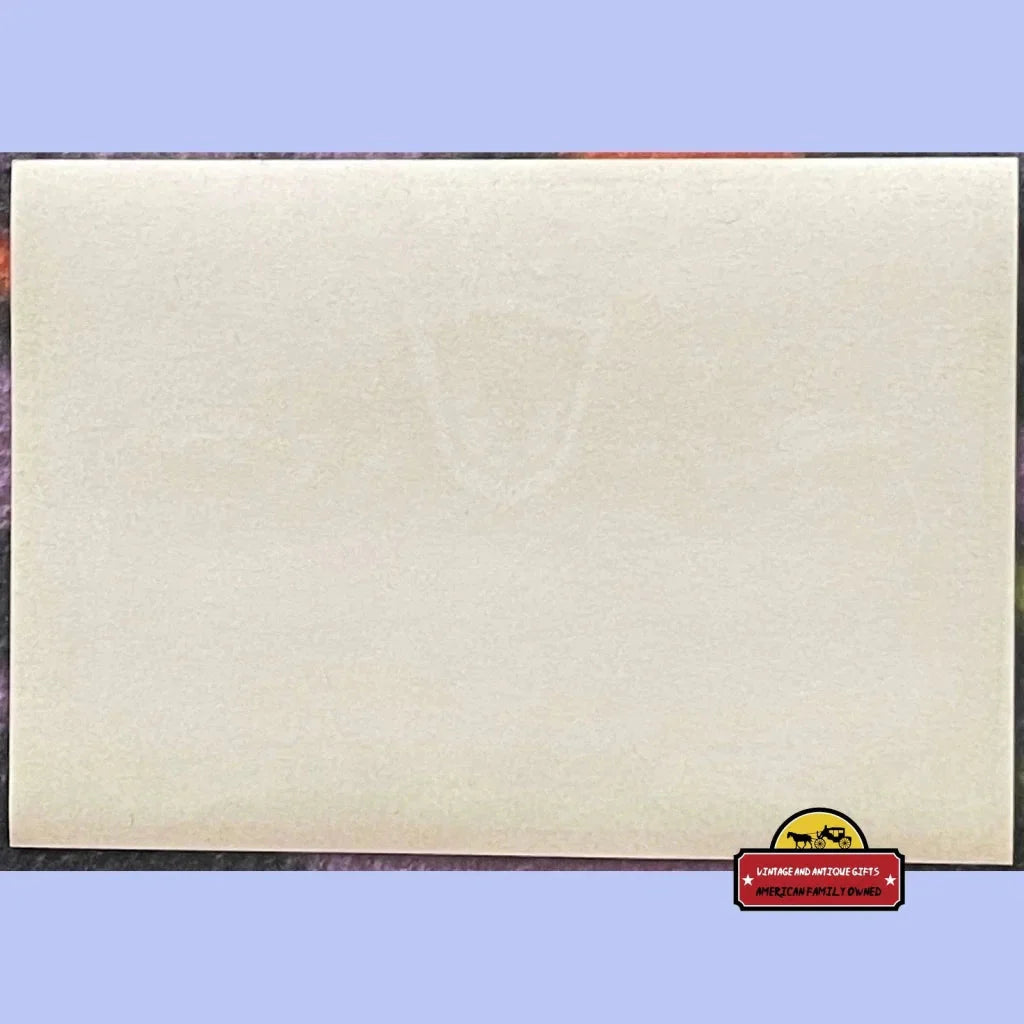 Rare Unprinted French Wine Label from 1920s Golden Age