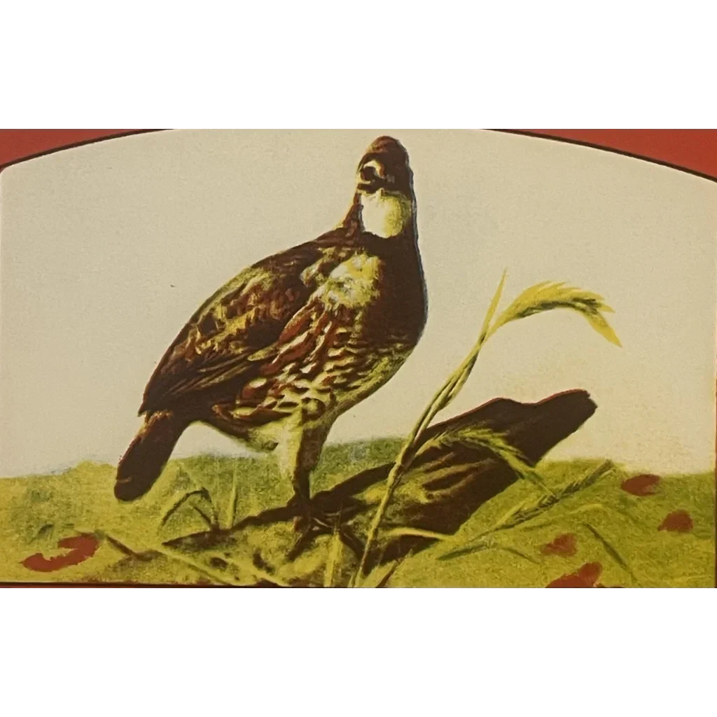 Rare Antique Bob White Crate Label From 1930s Pennsylvania Farm