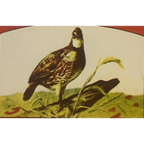 Rare Antique Bob White Crate Label From 1930s Pennsylvania Farm