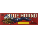Antique Vintage 1950s Blue Hound Crate Label from Reedley CA