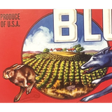 Antique Vintage 1950s Blue Hound Crate Label from Reedley CA
