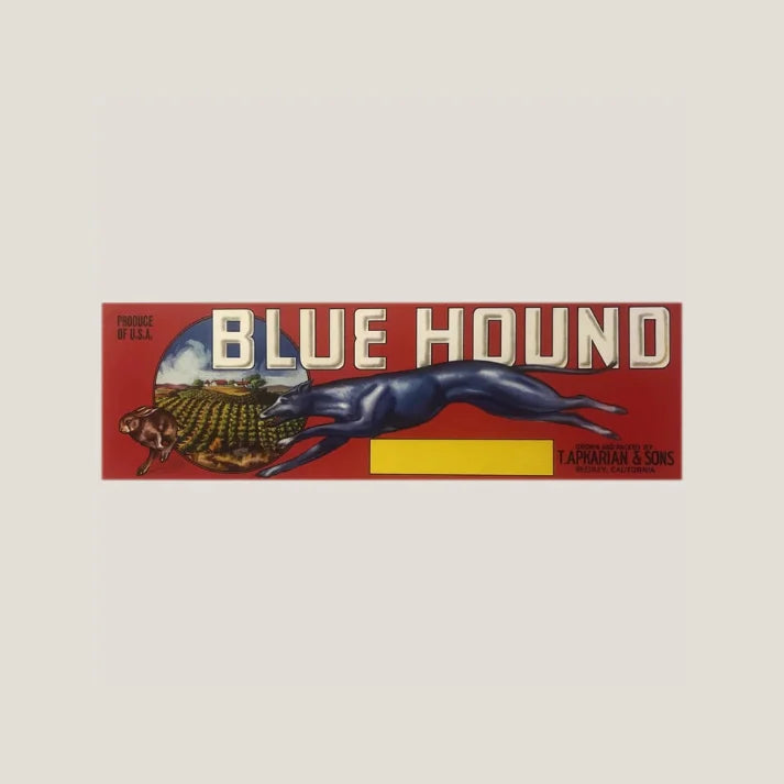 Antique Vintage 1950s Blue Hound Crate Label from Reedley CA