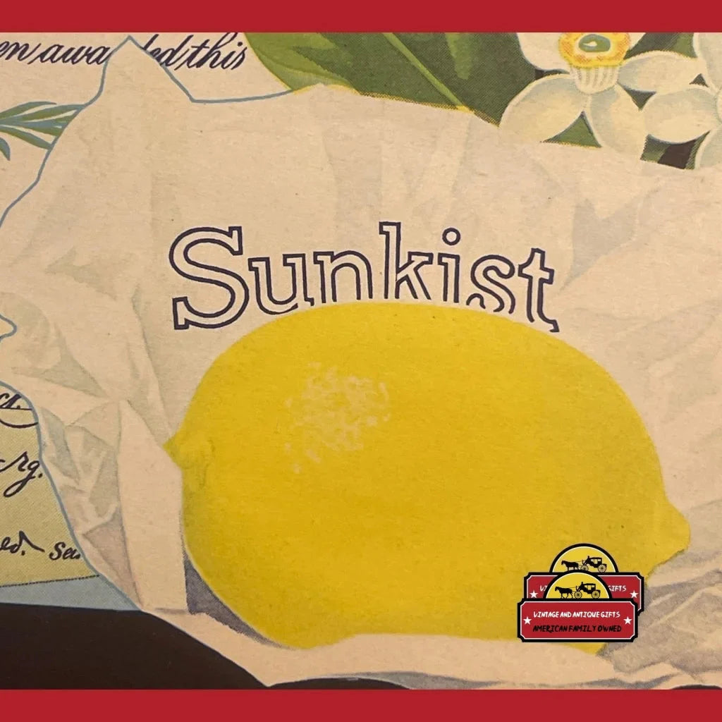 Rare 1930s Santa Barbara Antique Vintage Crate Label Discovered