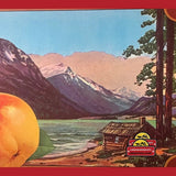 Rare 1940s Lake Wenatchee Antique Crate Label Captures Scenic Beauty