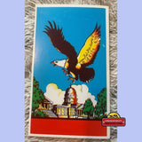 Rare Antique Vintage Broom Label Showcases Eagle Over White House